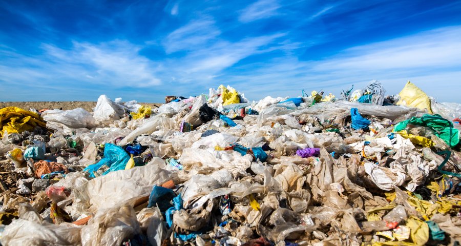 বিশ্ব পরিবেশ দিবস আজ