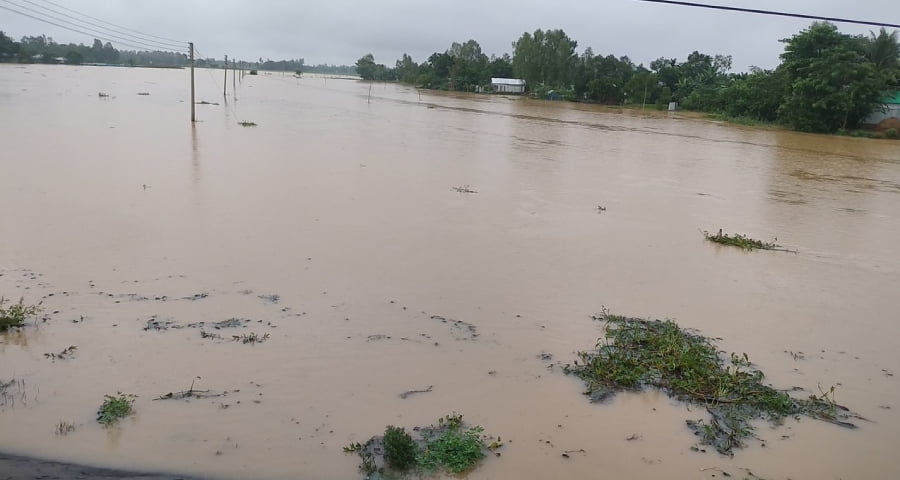 শেরপুরে বাড়ছে নদ নদীর পানি