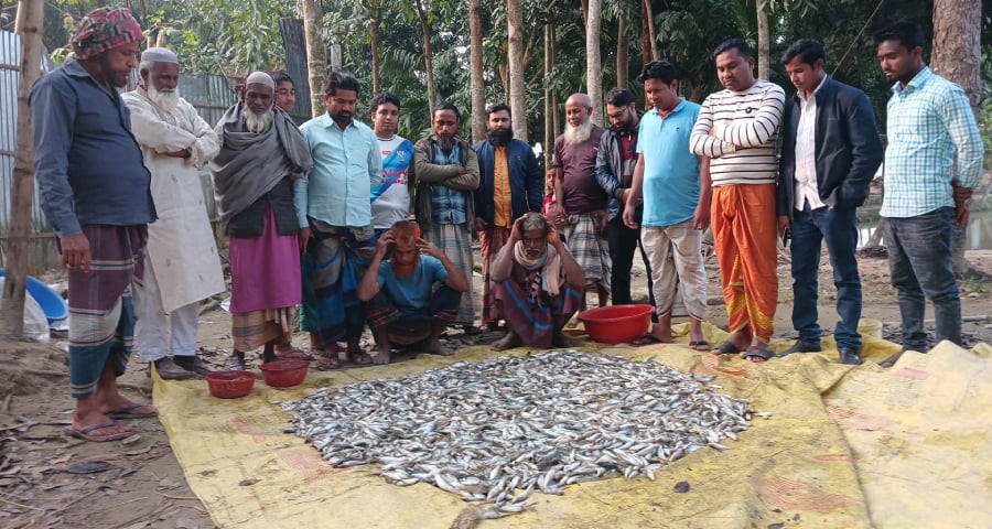 ঈশ্বরগঞ্জে ৬টি পুকুরে বিষ প্রয়োগে ২০ লাখ টাকার মাছ নিধন!
