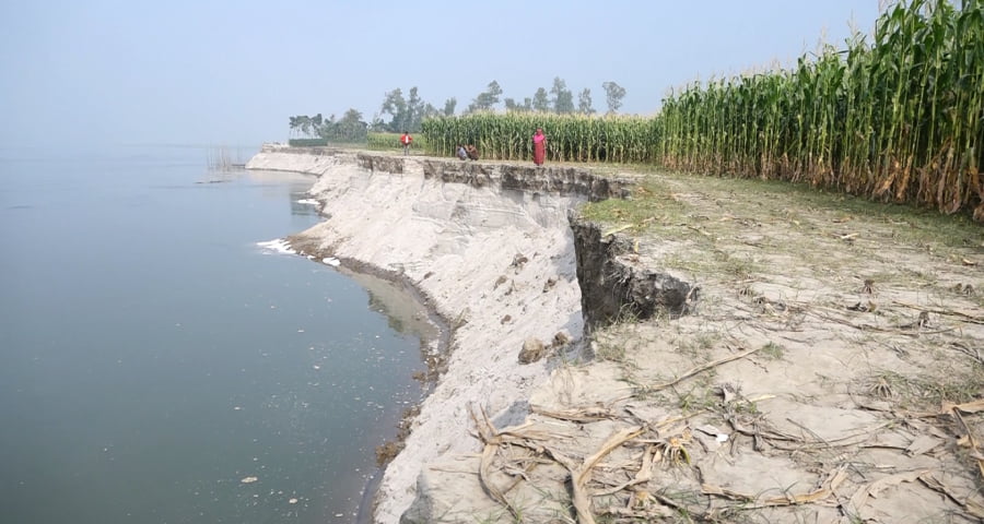 জামালপুরের দেওয়ানগঞ্জে ব্রহ্মপুত্র নদে হঠাৎ দেখা দিয়েছে তীব্র ভাঙন