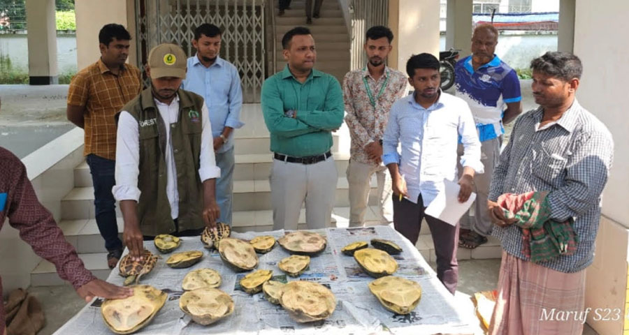 শ্বশুরবাড়ির আবদার পূরণ করতে গিয়ে জামাই কারাগারে