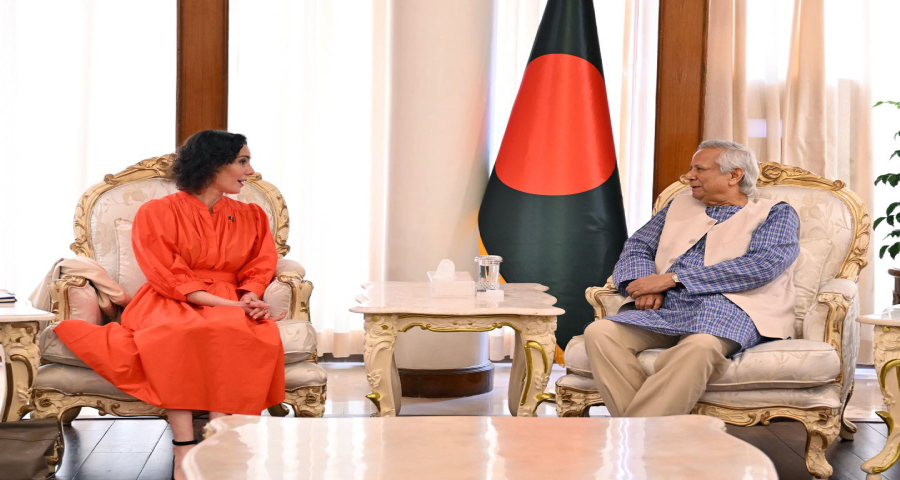 সম্ভবত ডিসেম্বরের মধ্যে নির্বাচন, ইইউ প্রতিনিধি দলকে ড. ইউনূস