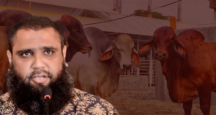 সাদিক অ্যাগ্রোর চেয়ারম্যান ইমরান গ্রেপ্তার