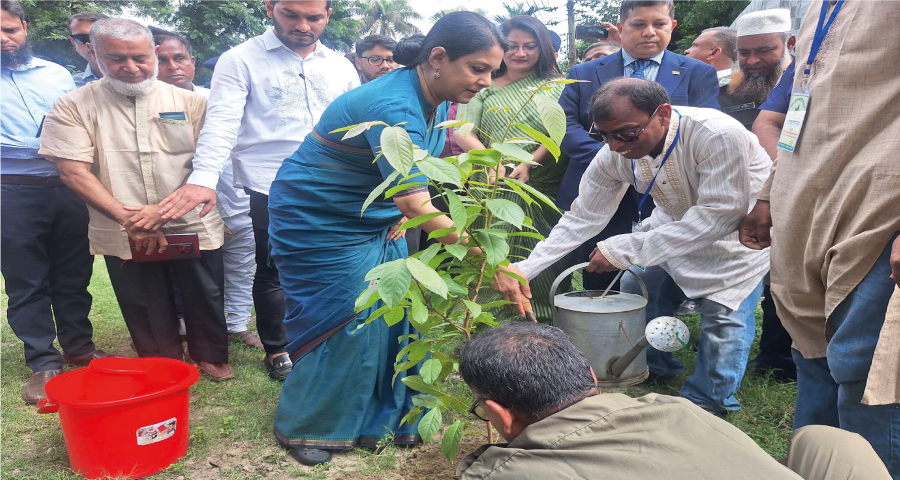 মধুপুর শালবনে আবারও শাল গাছ ফেরত আনার ঘোষণা উপদেষ্টা রিজওয়ানার