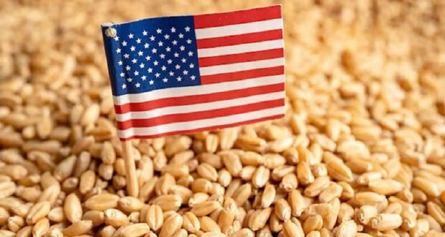 এই প্রথম যুক্তরাষ্ট্র থেকে এলো ৫৭ হাজার টন গম