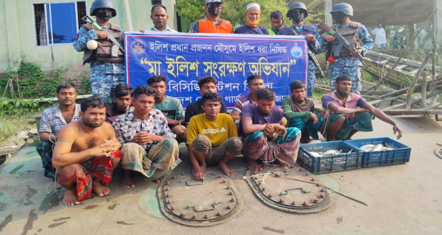 নিষিদ্ধ সময়ে ইলিশ ধরায় হিজলায় ১১ জেলে আটক