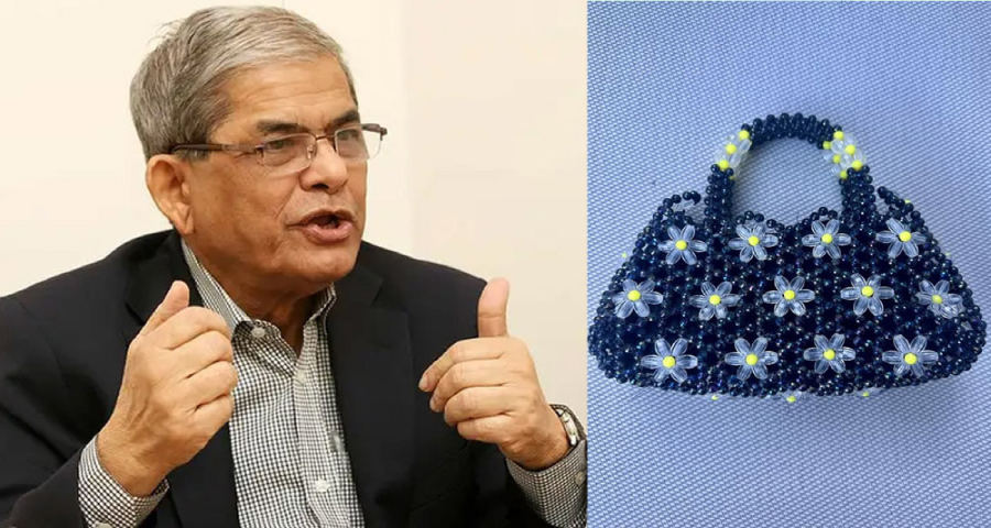 নিরপরাধ মানুষকে হয়রানি করার নাম রাজনীতি না : মির্জা ফখরুল