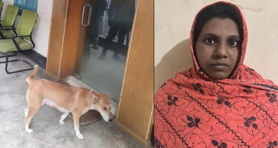 ৮ কুকুরছানা হত্যার দায়ে মামলা, সরকারি কর্মকর্তার স্ত্রী গ্রেফতার