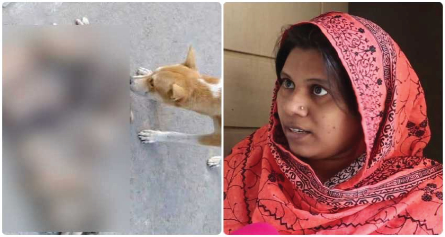 কুকুরছানা হত্যা মামলায় সেই নিশির জামিন