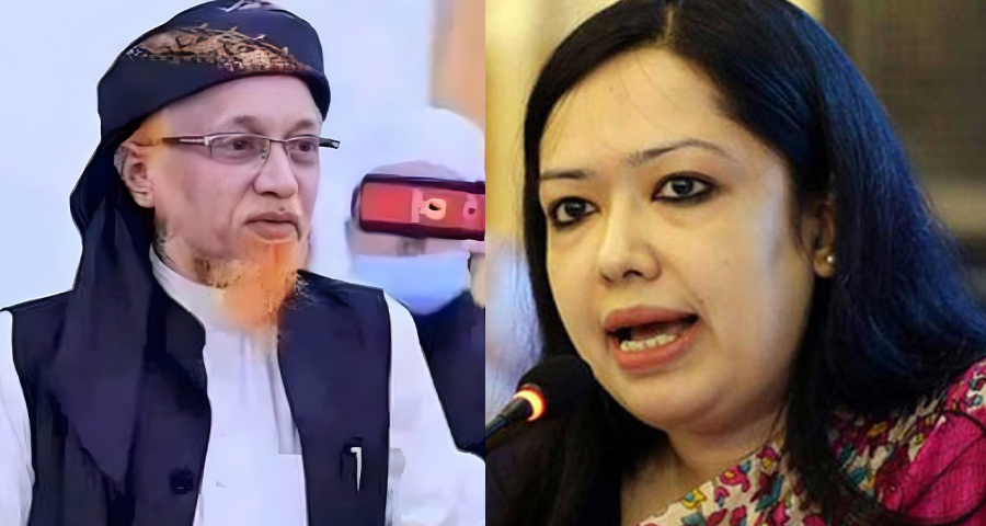 জোটের প্রার্থী জুনায়েদ আল হাবিব, মনোনয়ন না পেলেও লড়বেন রুমিন ফারহানা