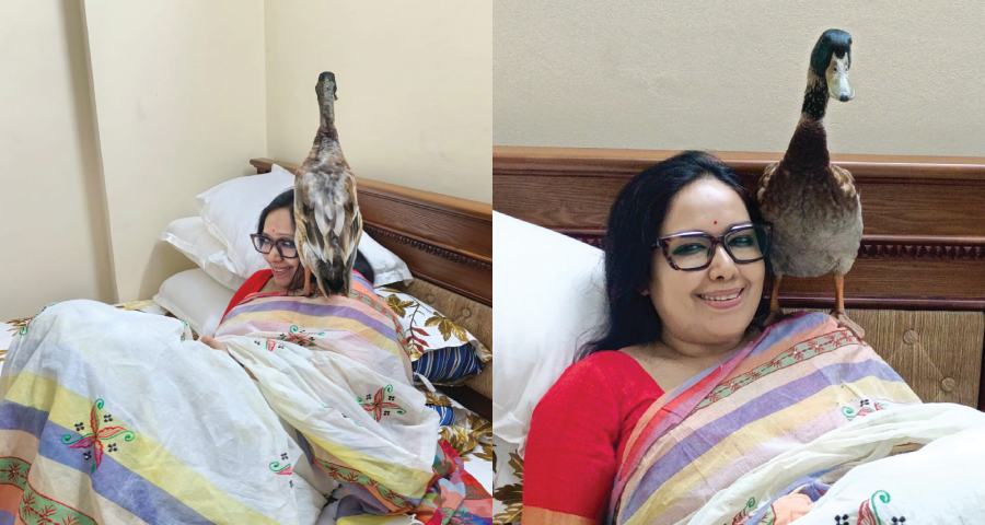 আমার হাঁস চুরি হলে যথাযথ ব্যবস্থা নেব : রুমিন