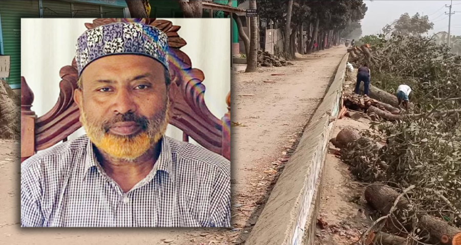 বেড়িবাঁধের গাছ কাটার ঘটনায় সেই বিএনপি নেতা গ্রেপ্তার