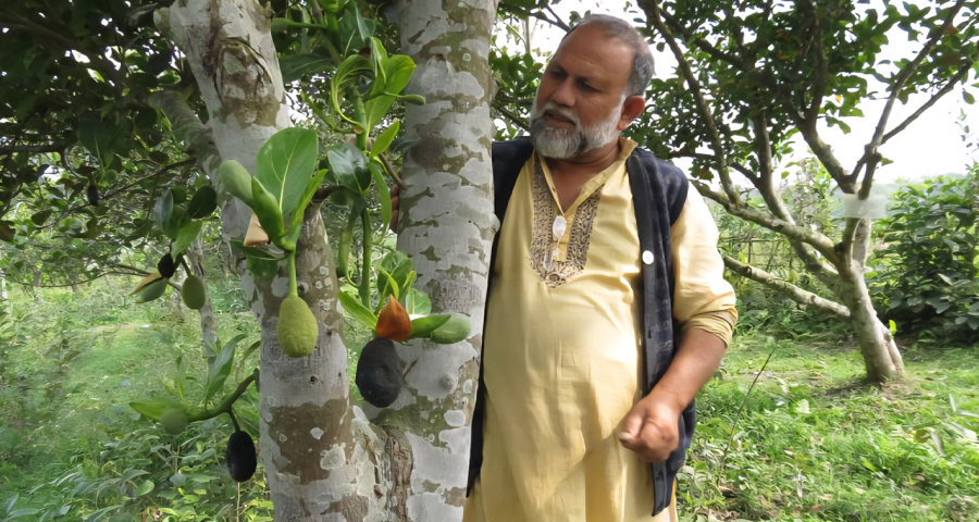 স্বাধীনতা পুরস্কার পাচ্ছেন বাকৃবির অবসরপ্রাপ্ত শিক্ষক ড. এম এ রহিম