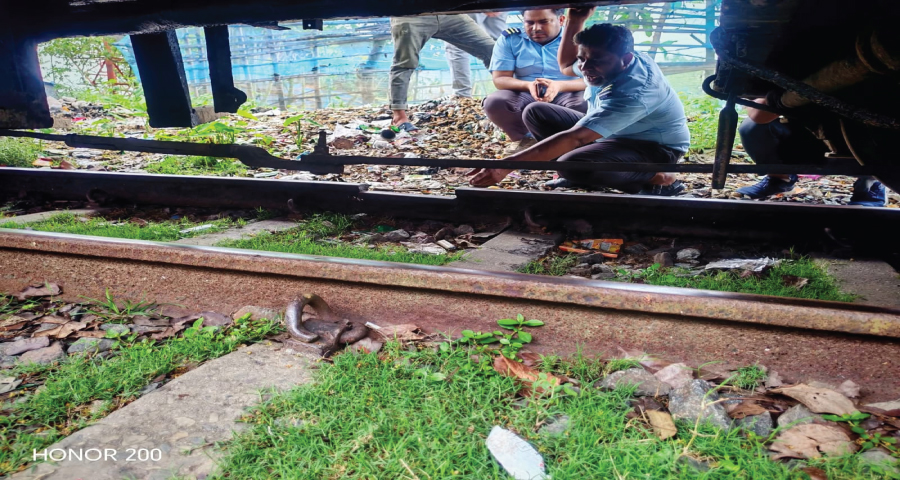 রেললাইনের পাত ভেঙে যাওয়ায় গৌরীপুর জংশনে আটক পড়েছে বলাকা কমিউটার