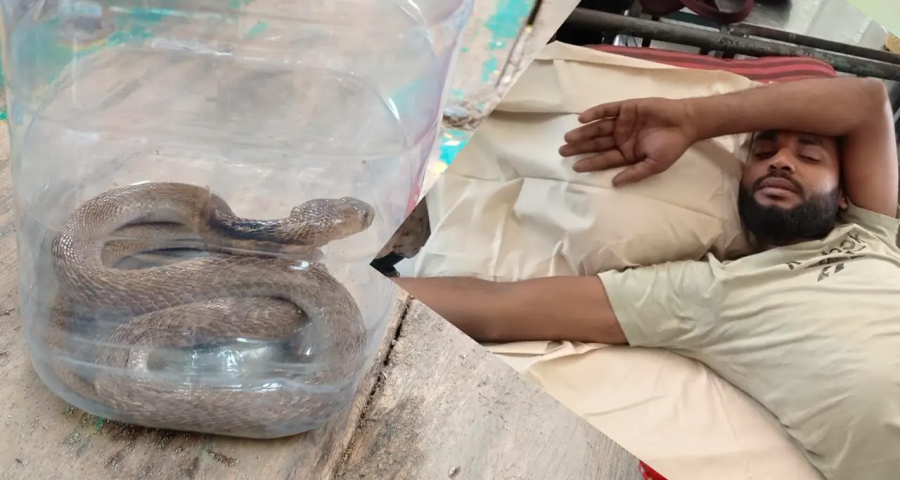 সাপের ছোবল খেয়ে জীবিত গোখরা নিয়েই হাসপাতালে যুবক