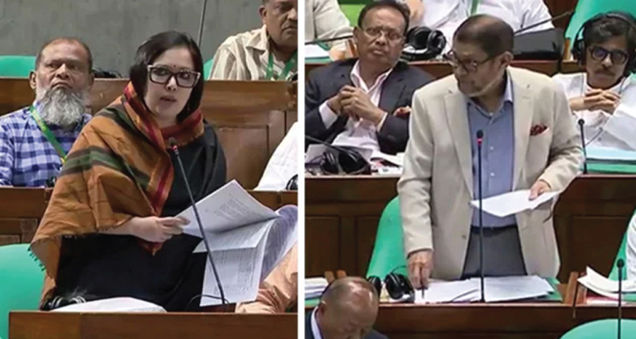 ৩০০ সংসদ সদস্যের সামনে কথা বলছি, ৩০০ হামের রোগীর সামনে নয়: রুমিন ফারহানা