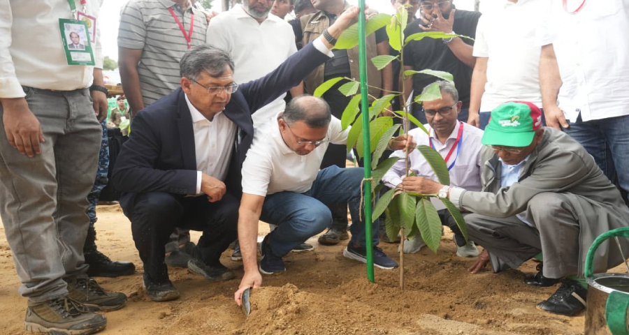 দেশব্যাপী ২৫ কোটি বৃক্ষরোপণ কর্মসূচি উদ্বোধন করলেন প্রধানমন্ত্রী