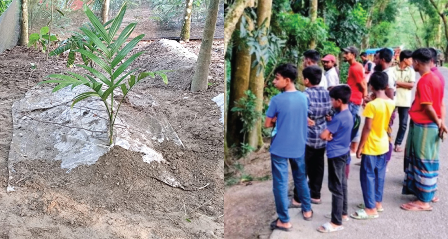 স্বপ্নে দেখলেন জীবিত আছে তরুণী, মৃত্যুর ১৮ দিন পর কবর খুঁড়লেন স্বজনরা