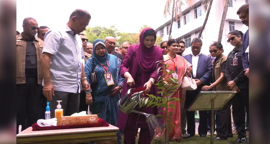 ঢামেকের প্রতিষ্ঠাবার্ষিকীতে প্রধানমন্ত্রী, উদ্বোধন করলেন বৃক্ষরোপণ কর্মসূচির