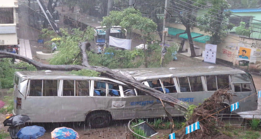 গাছ উপড়ে পড়ে দুমড়ে মুচড়ে গেলো জবির বাস
