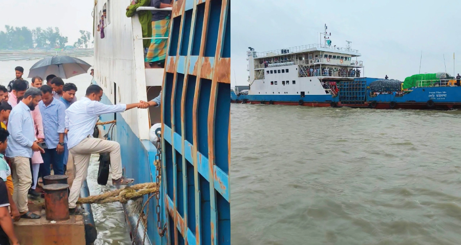 ফেরিকাণ্ডে সমালোচনা, ব্যাখ্যা দিলেন হান্নান মাসউদ