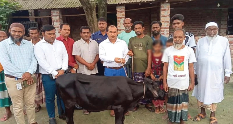 প্রতিমন্ত্রীর গাড়ি দুর্ঘটনায় নিহত ফিরোজার পরিবারকে গাভি দিল উপজেলা প্রশাসন