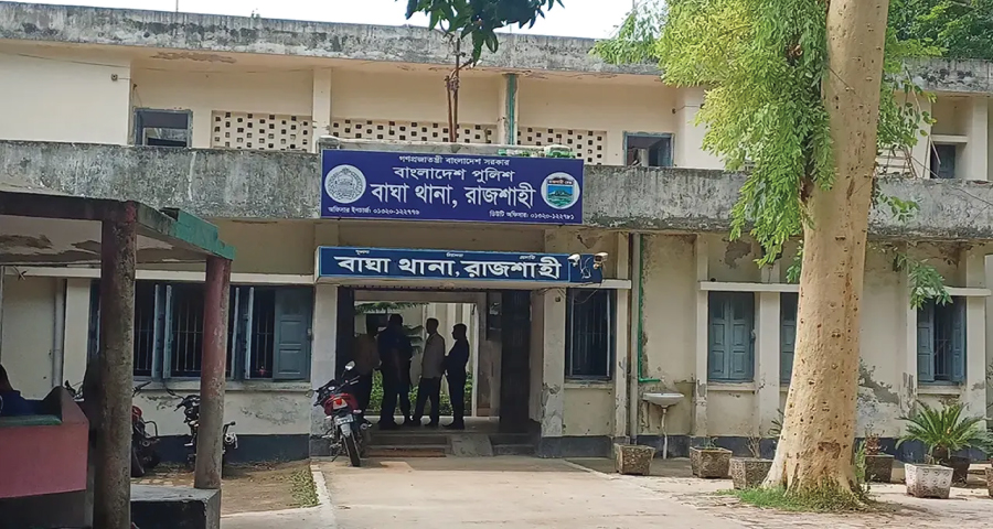 বাঘায় খাটের নিচে দুই পিস্তল, গুলি-ম্যাগাজিনসহ নারী আটক