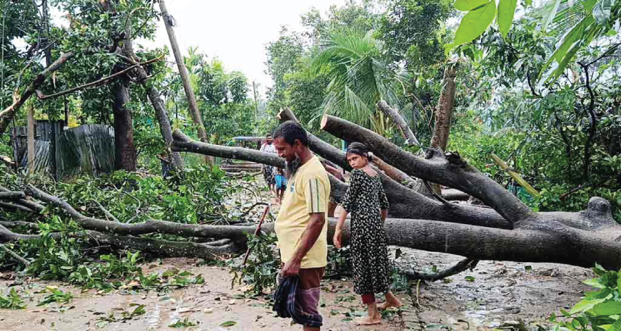 হালুয়াঘাটে এক মিনিটের ঝড়ে অর্ধশতাধিক ঘরবাড়ি ক্ষতিগ্রস্ত